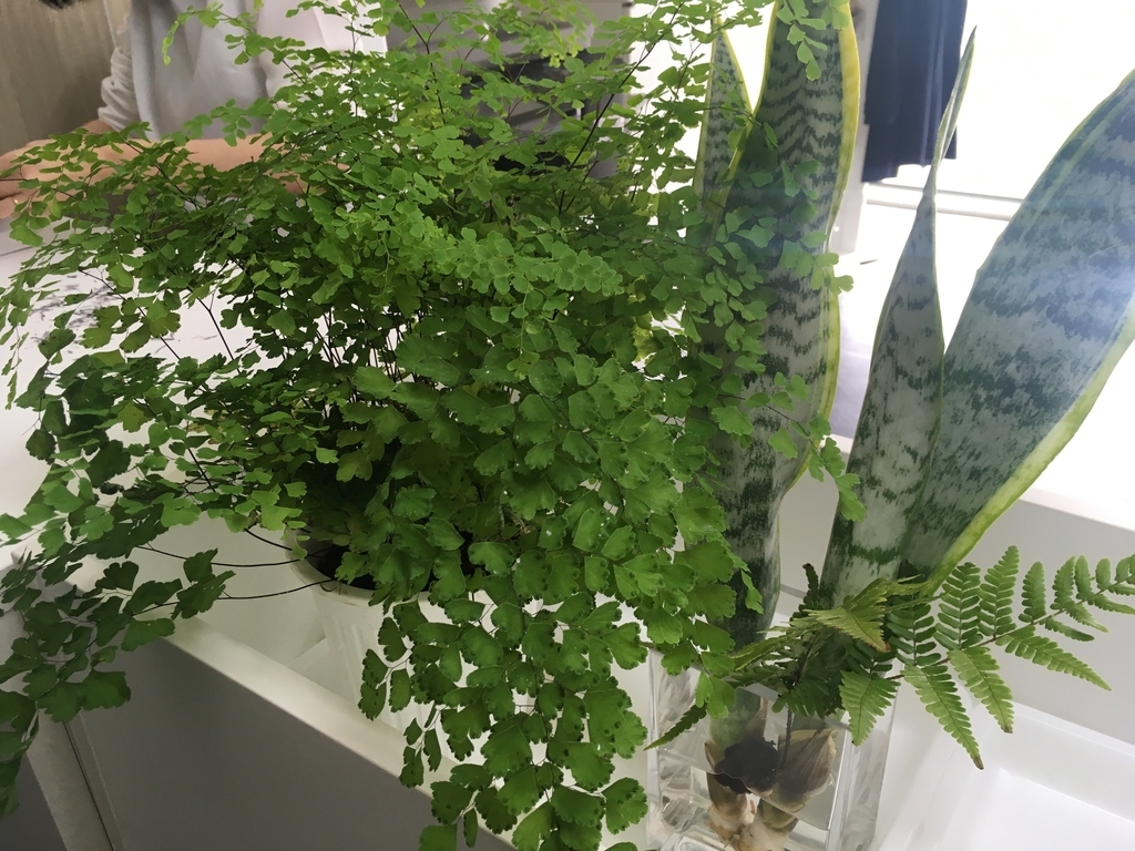 f:id:megumilaw:20190305130207j:plain f:id:megumilaw:20190305130207j:plain