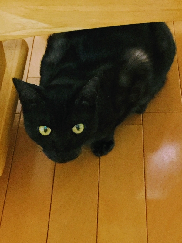イメージ 1