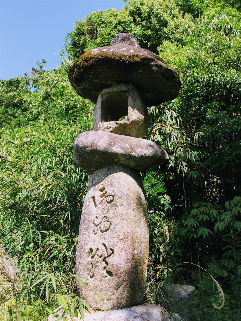 f:id:megumimatsumotoviolin:20200524194634j:image