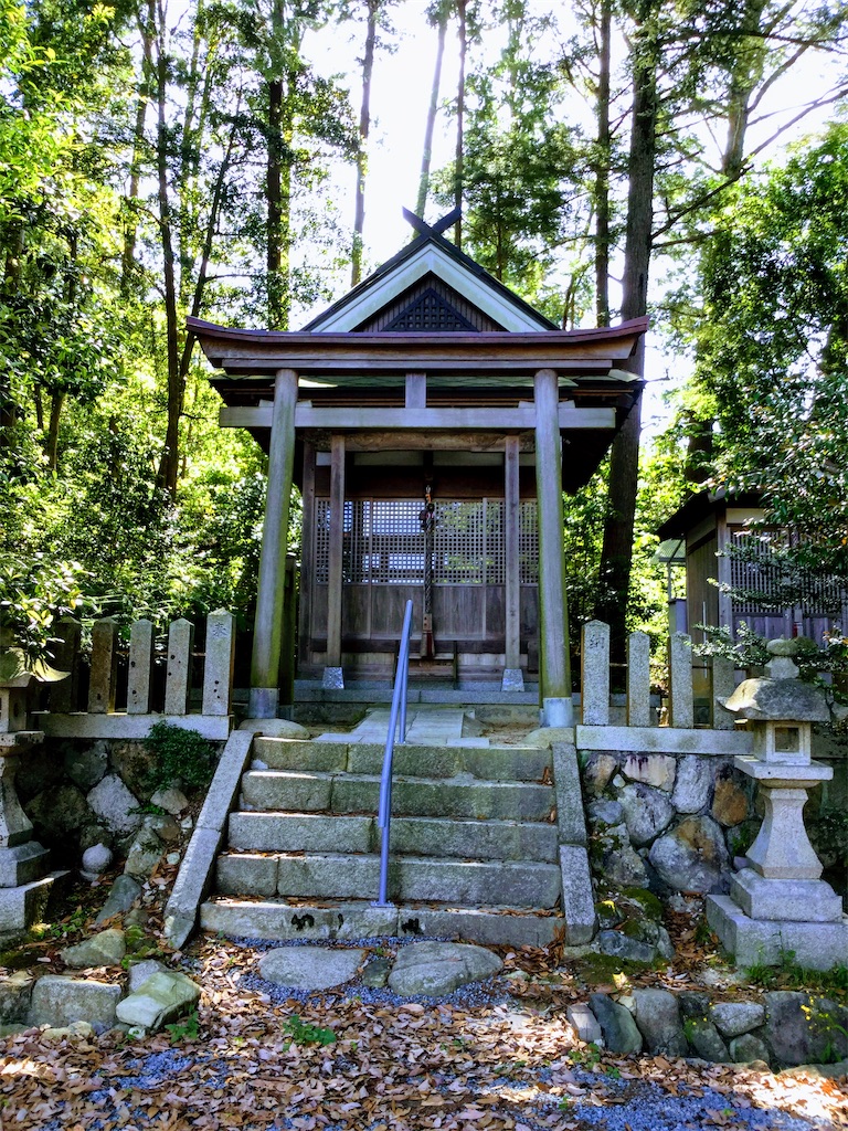f:id:megumimatsumotoviolin:20200524195226j:image