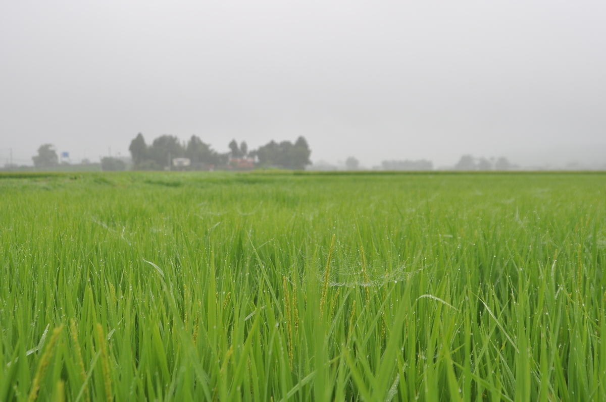 f:id:megumin1120:20200907222535j:plain f:id:megumin1120:20200907222535j:plain