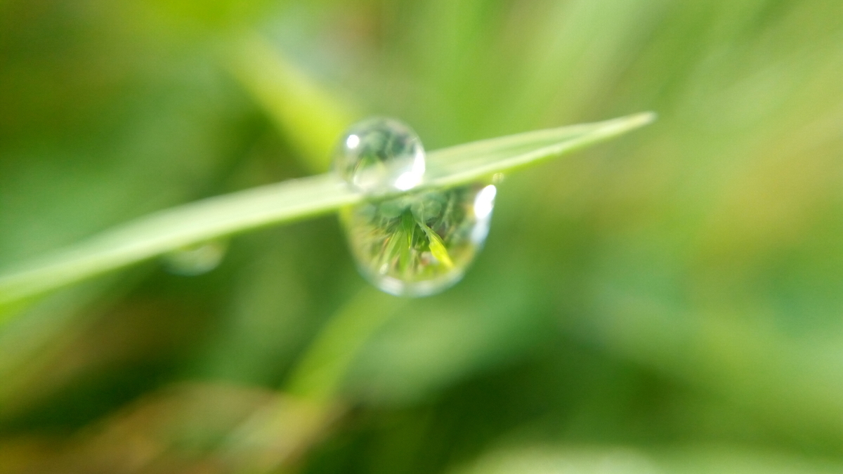 f:id:megumin1120:20200907222842j:plain f:id:megumin1120:20200907222842j:plain