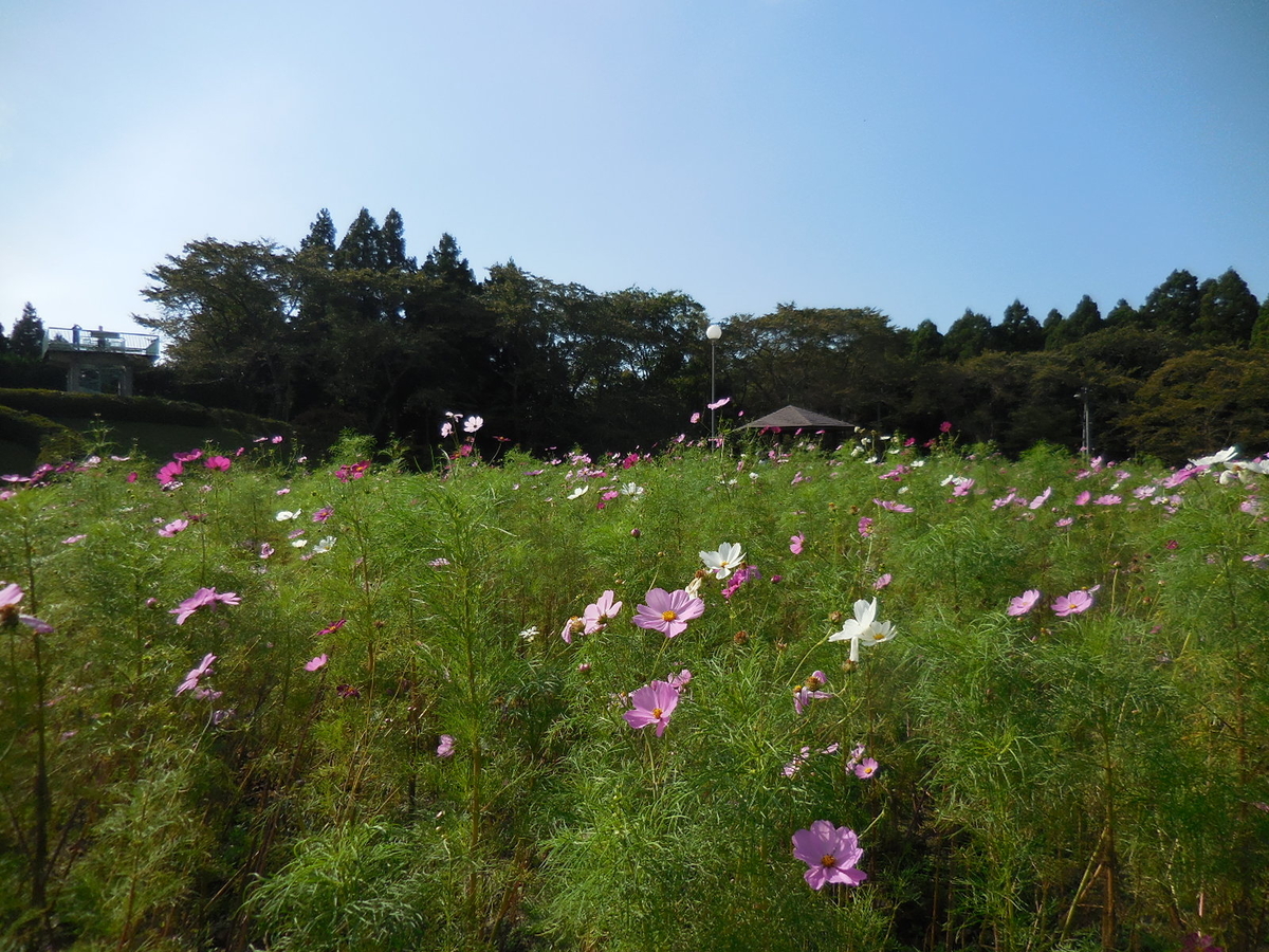 f:id:megumin1120:20200908221755j:plain f:id:megumin1120:20200908221755j:plain