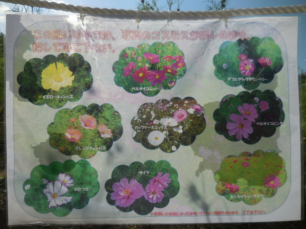 f:id:megumin1120:20200908222756j:plain f:id:megumin1120:20200908222756j:plain