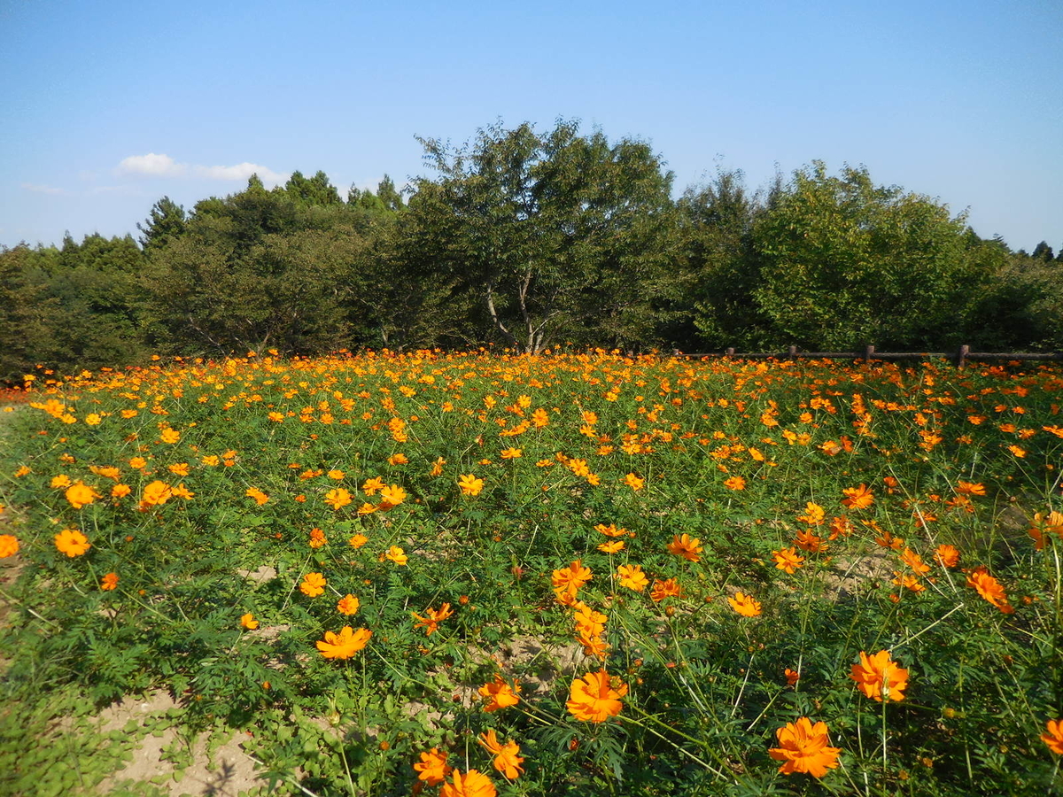 f:id:megumin1120:20200908224600j:plain f:id:megumin1120:20200908224600j:plain