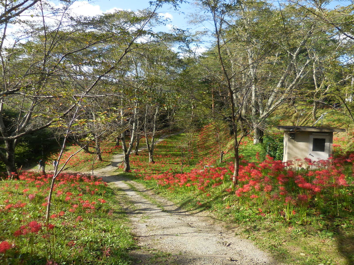 f:id:megumin1120:20200923141132j:plain f:id:megumin1120:20200923141132j:plain