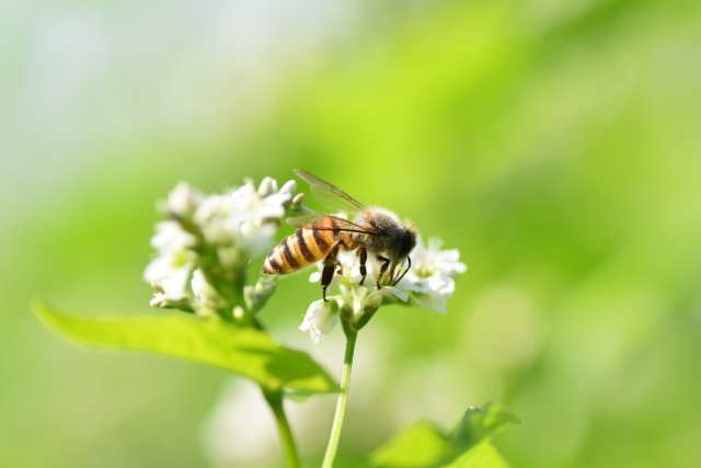 f:id:megumin1120:20200925142647j:plain f:id:megumin1120:20200925142647j:plain