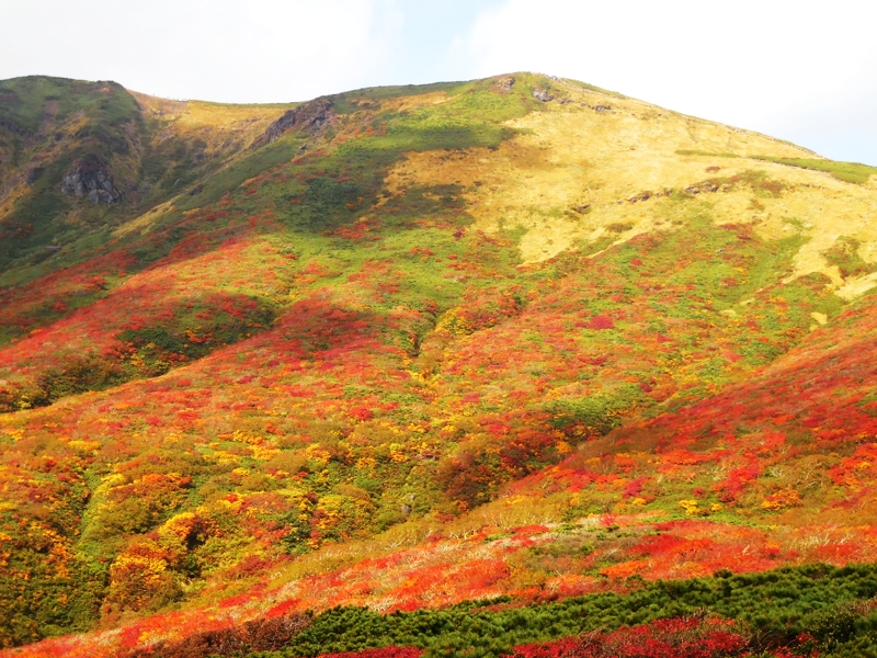 f:id:megumin1120:20201001134654p:plain