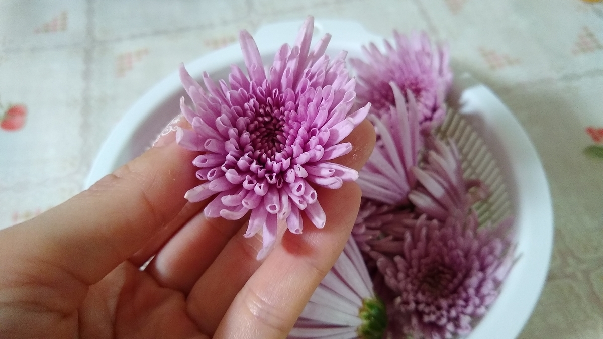 元祖エディブルフラワー もってのほか 美味しい山形の食用菊 みちなるみちのく