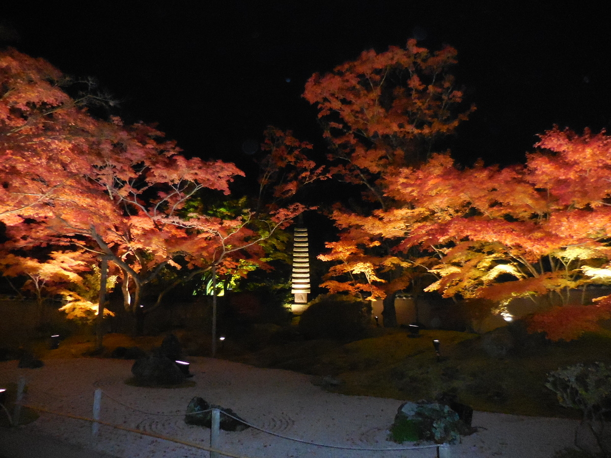 f:id:megumin1120:20201110000621j:plain f:id:megumin1120:20201110000621j:plain