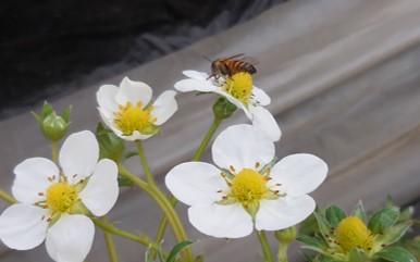 f:id:megumin1120:20210309142847j:plain