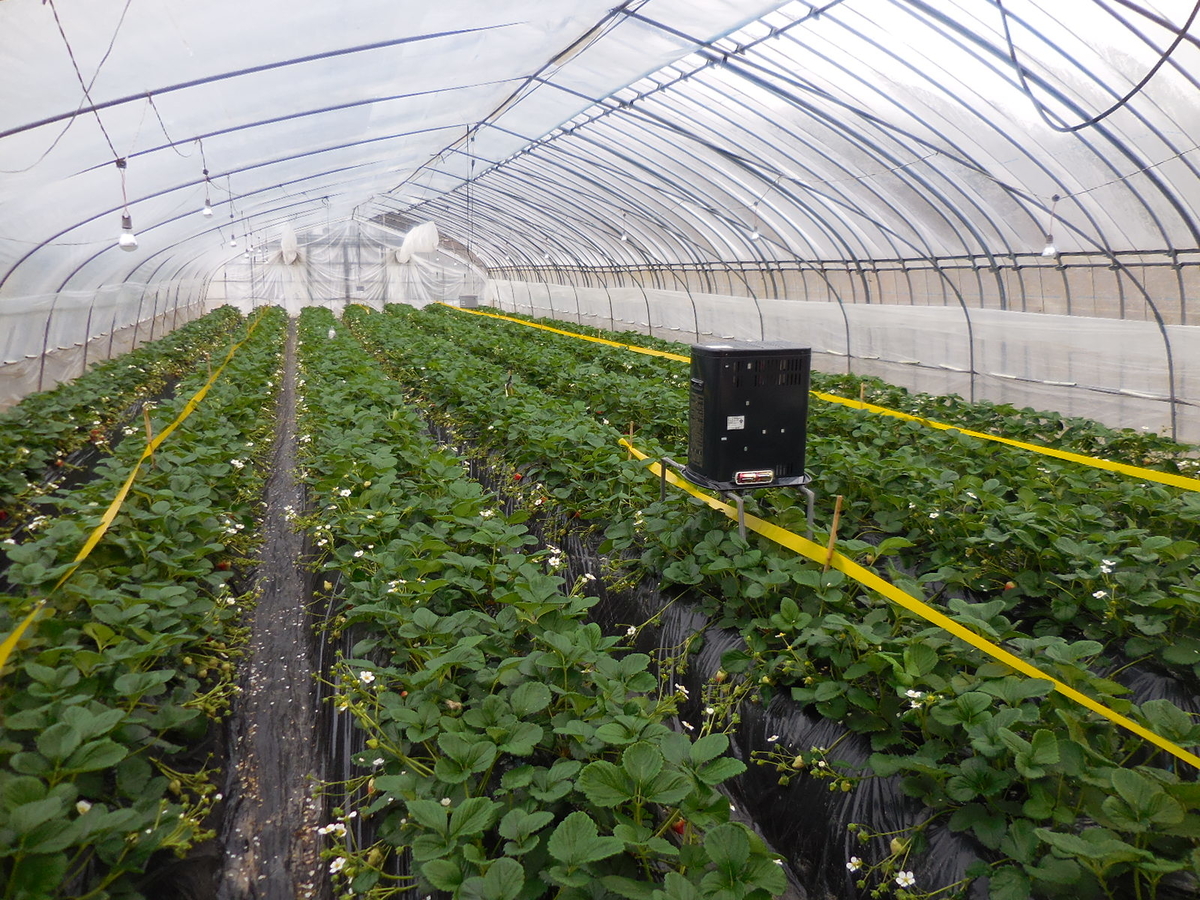 f:id:megumin1120:20210309151121j:plain