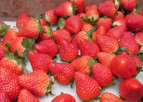 f:id:megumin1120:20210309161639j:plain