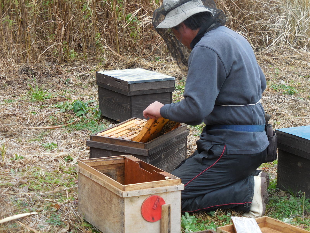 f:id:megumin1120:20210410140930j:plain