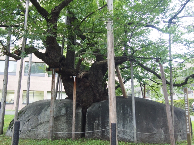 f:id:megumin1120:20210413214938j:plain