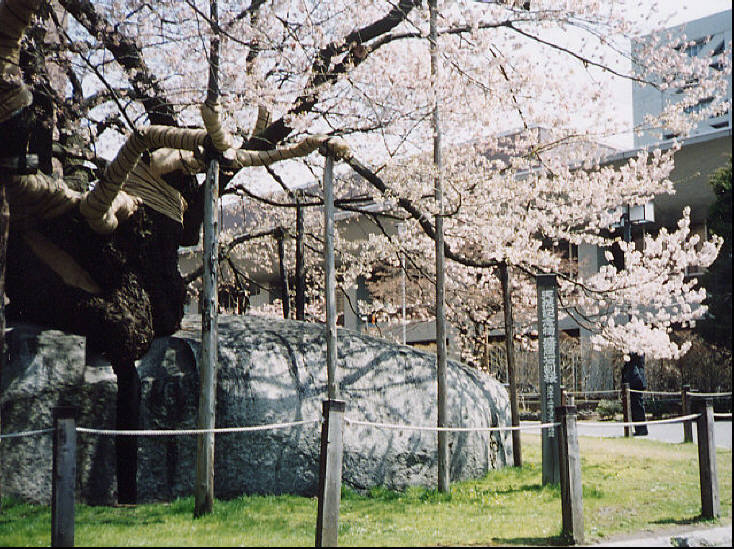 f:id:megumin1120:20210413215510j:plain