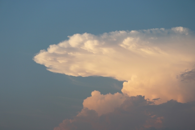 f:id:megumin1120:20210807222346j:plain