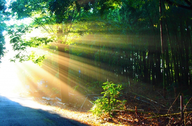 f:id:megumin1120:20210807223022j:plain