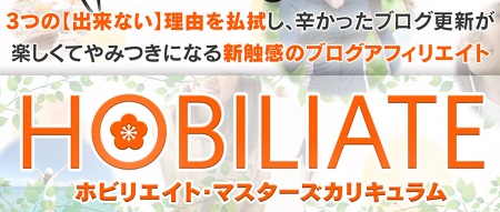 f:id:megumion:20170425215501j:plain