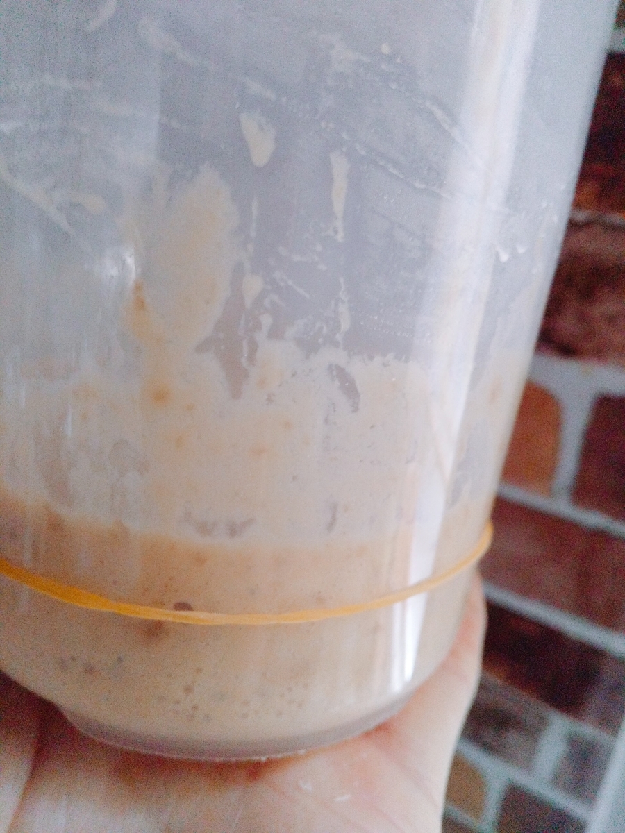 自家製酵母 酵母 玄米 ごはん マクロビ 自然 パン パン作り 健康 黒糖