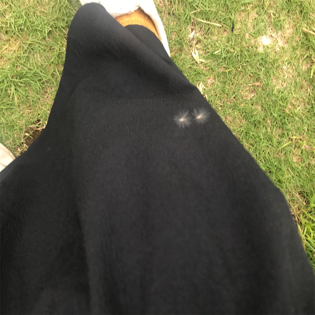 f:id:meguroo:20230526011845j:image