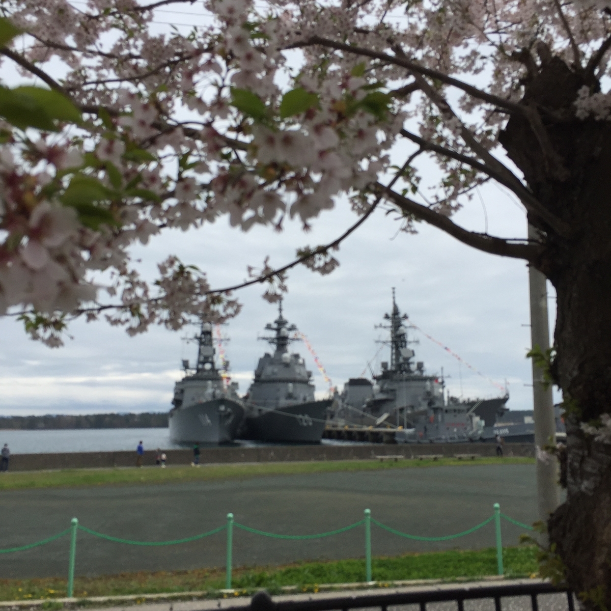 f:id:meguru1844:20190502152256j:plain