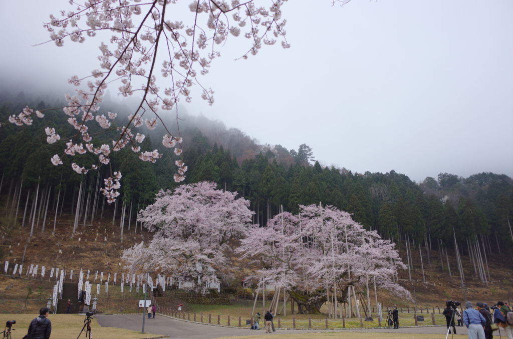 f:id:megusuri_tan:20160731171155j:plain f:id:megusuri_tan:20160731171155j:plain