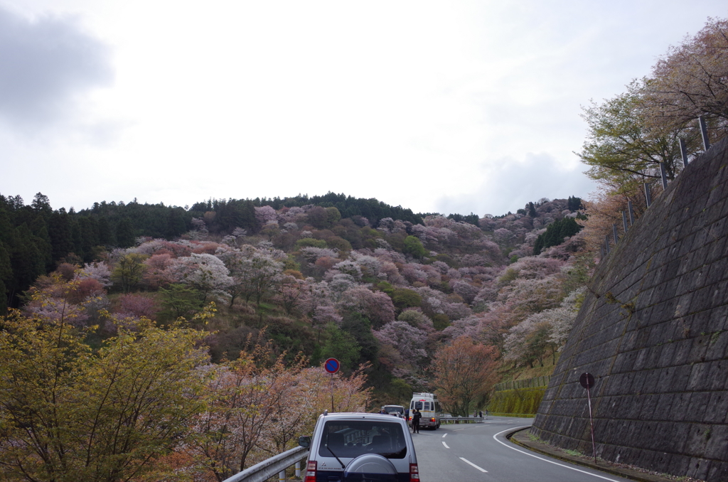 f:id:megusuri_tan:20160731172530j:plain f:id:megusuri_tan:20160731172530j:plain