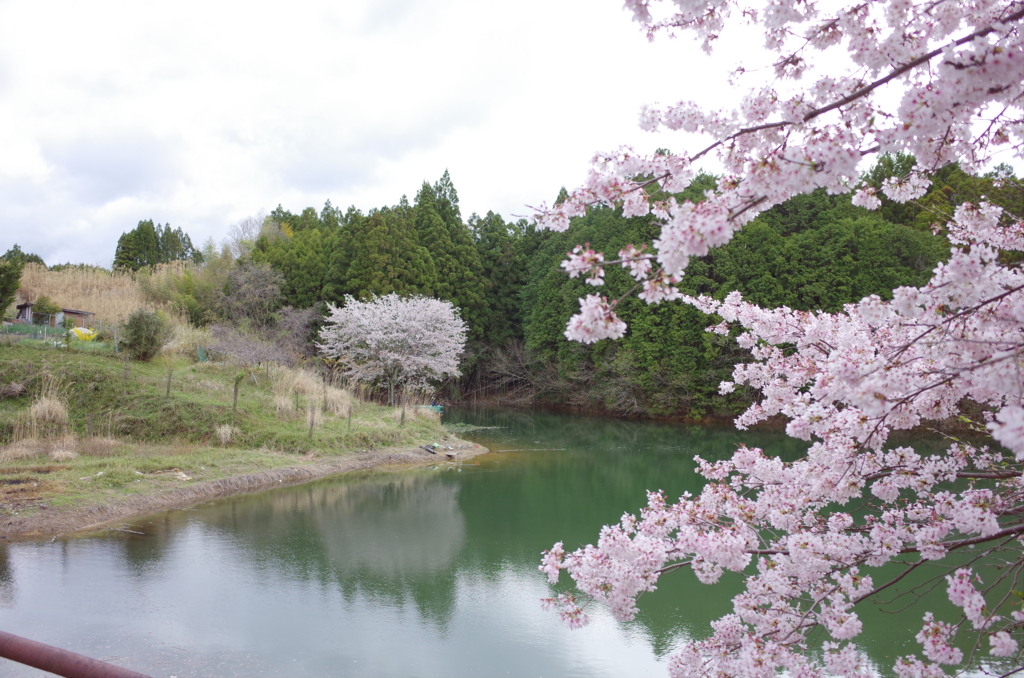 f:id:megusuri_tan:20160731172611j:plain f:id:megusuri_tan:20160731172611j:plain