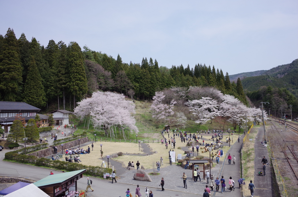 f:id:megusuri_tan:20160731174308j:plain f:id:megusuri_tan:20160731174308j:plain