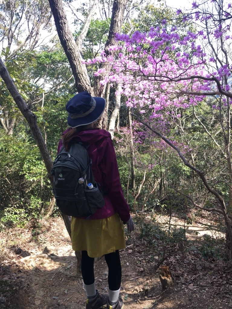 f:id:megux:20180327214537j:plain