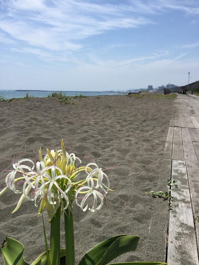 f:id:megyumi:20170919192014j:plain f:id:megyumi:20170919192014j:plain