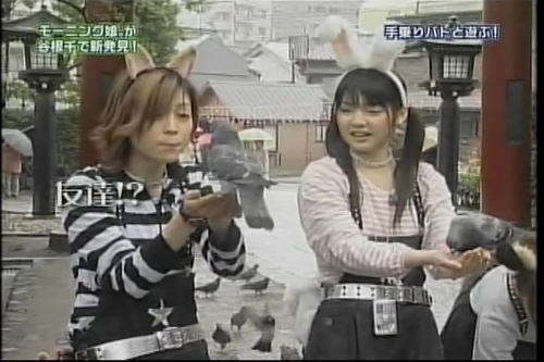 f:id:meiberu:20070507210716j:image