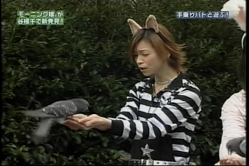 f:id:meiberu:20070507210756j:image