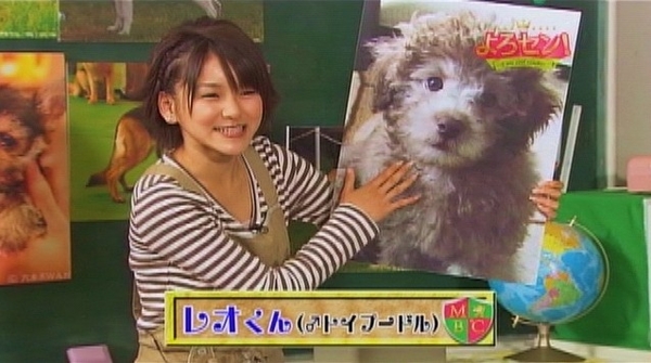 f:id:meiberu:20091214232216j:image f:id:meiberu:20091214232216j:image