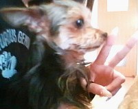 f:id:meiberu:20100525193843j:image