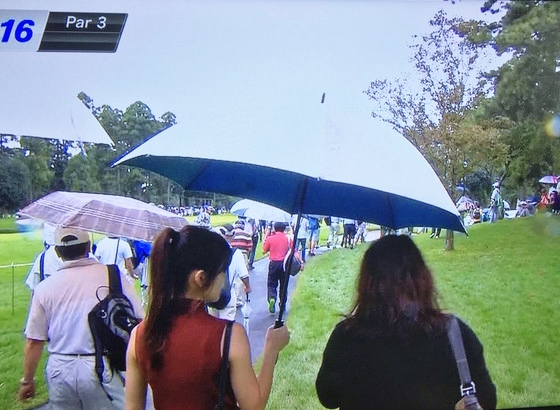 f:id:meiberu:20160919221408j:image