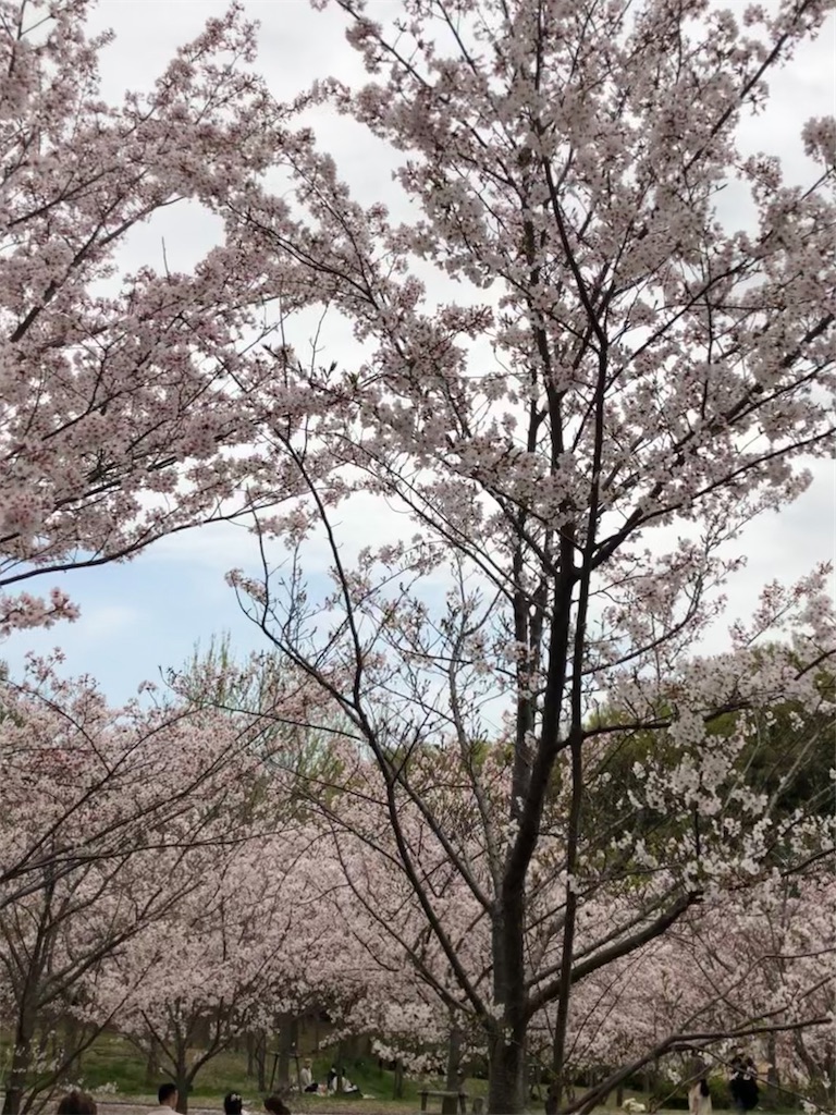 f:id:meibin:20210405161639j:image