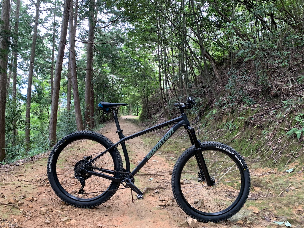 カメレオン キャンバス 9027f411-s.jpg