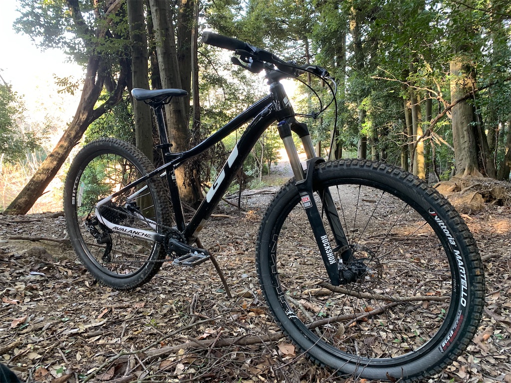 まー　AVALANCHE【アバランチ】大　メダイ　10K ☆m様専用ページ☆良品☆AVALANCHE アバランチ 20周年