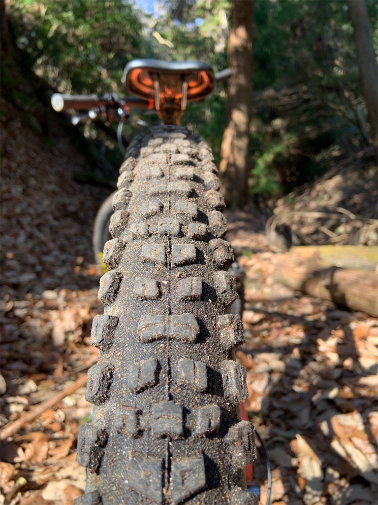Maxxis Aggressor - 明雅屋の感想