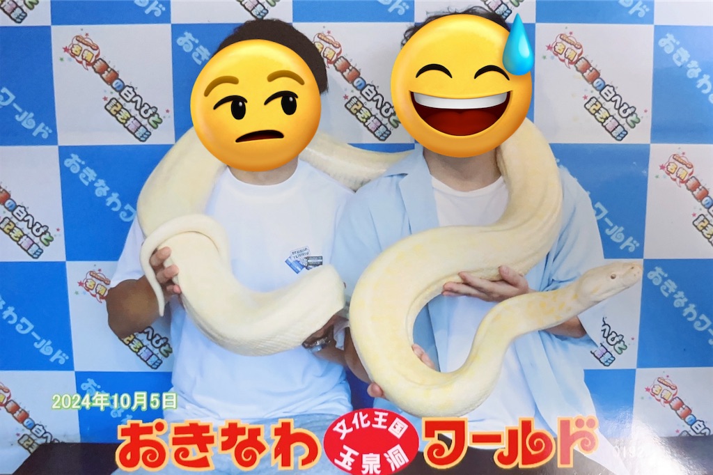 f:id:meigenusuke6:20241012201152j:image