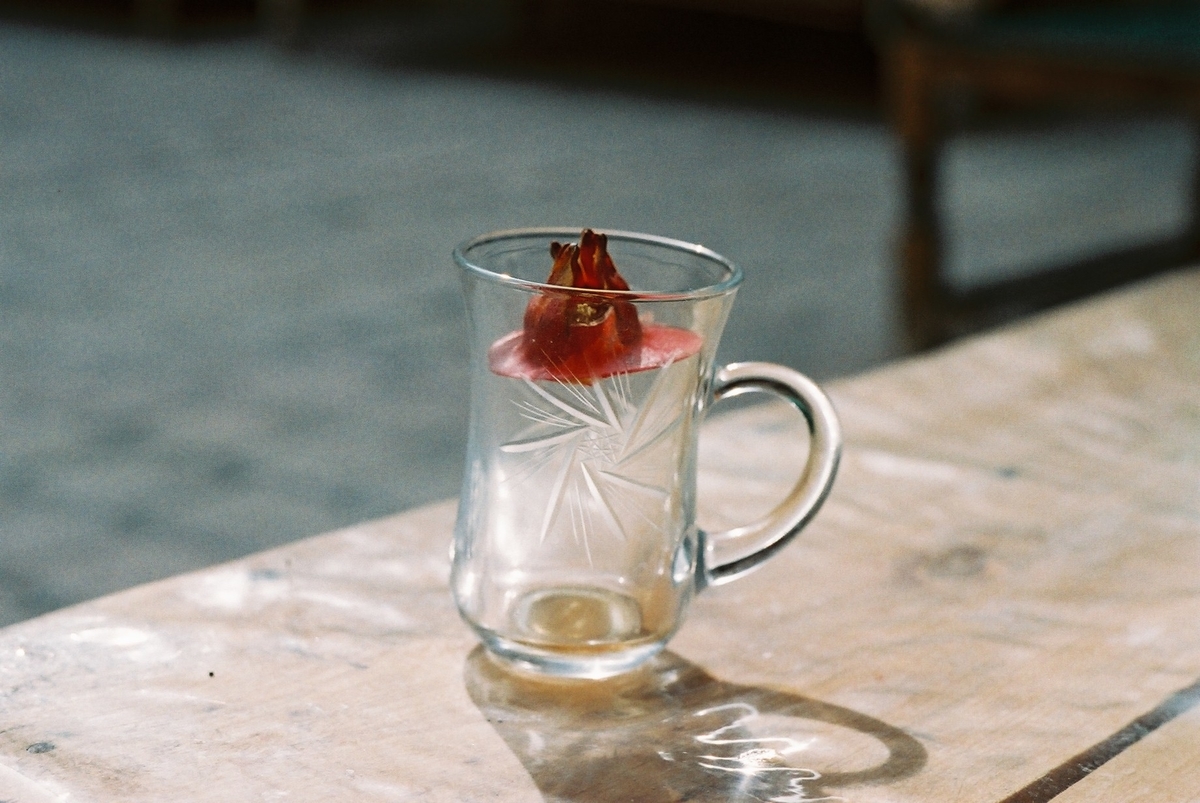 f:id:meigu:20201202133459j:plain