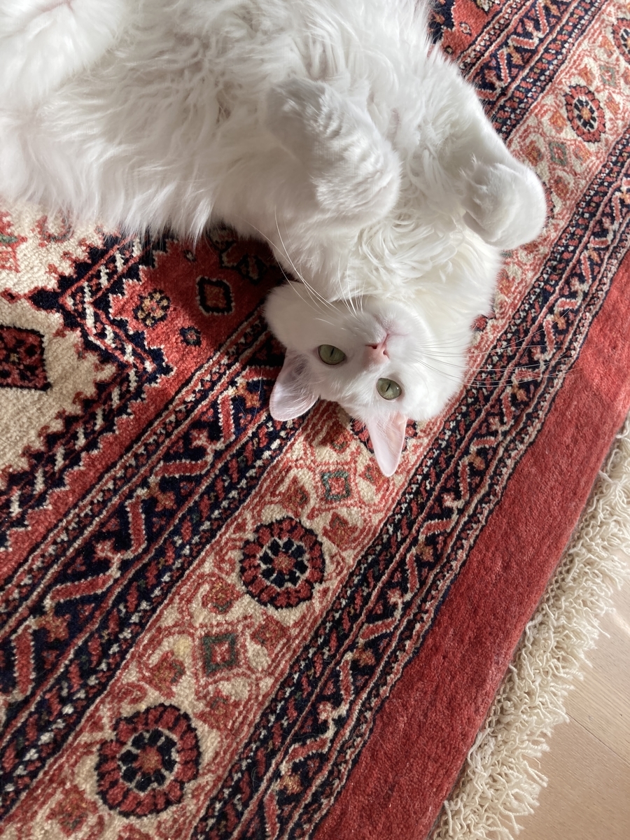 f:id:meigu:20210216110701j:plain