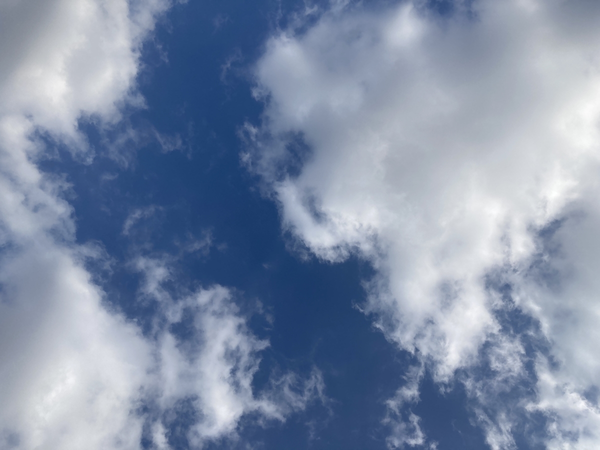 f:id:meigu:20210225215144j:plain