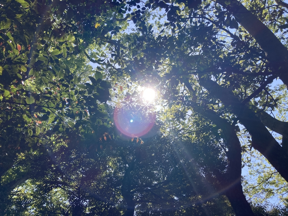 f:id:meigu:20210430111726j:plain