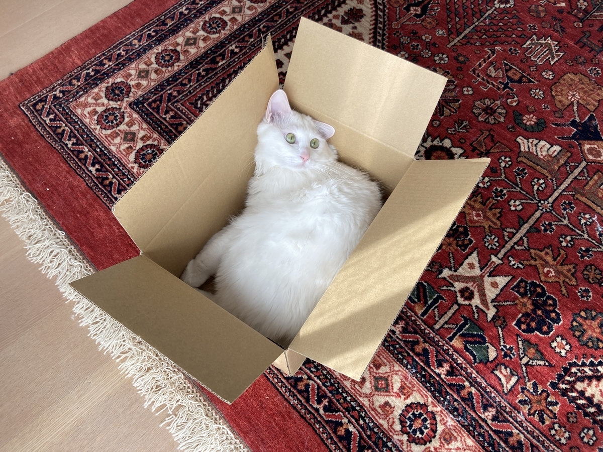 f:id:meigu:20220228202611j:plain