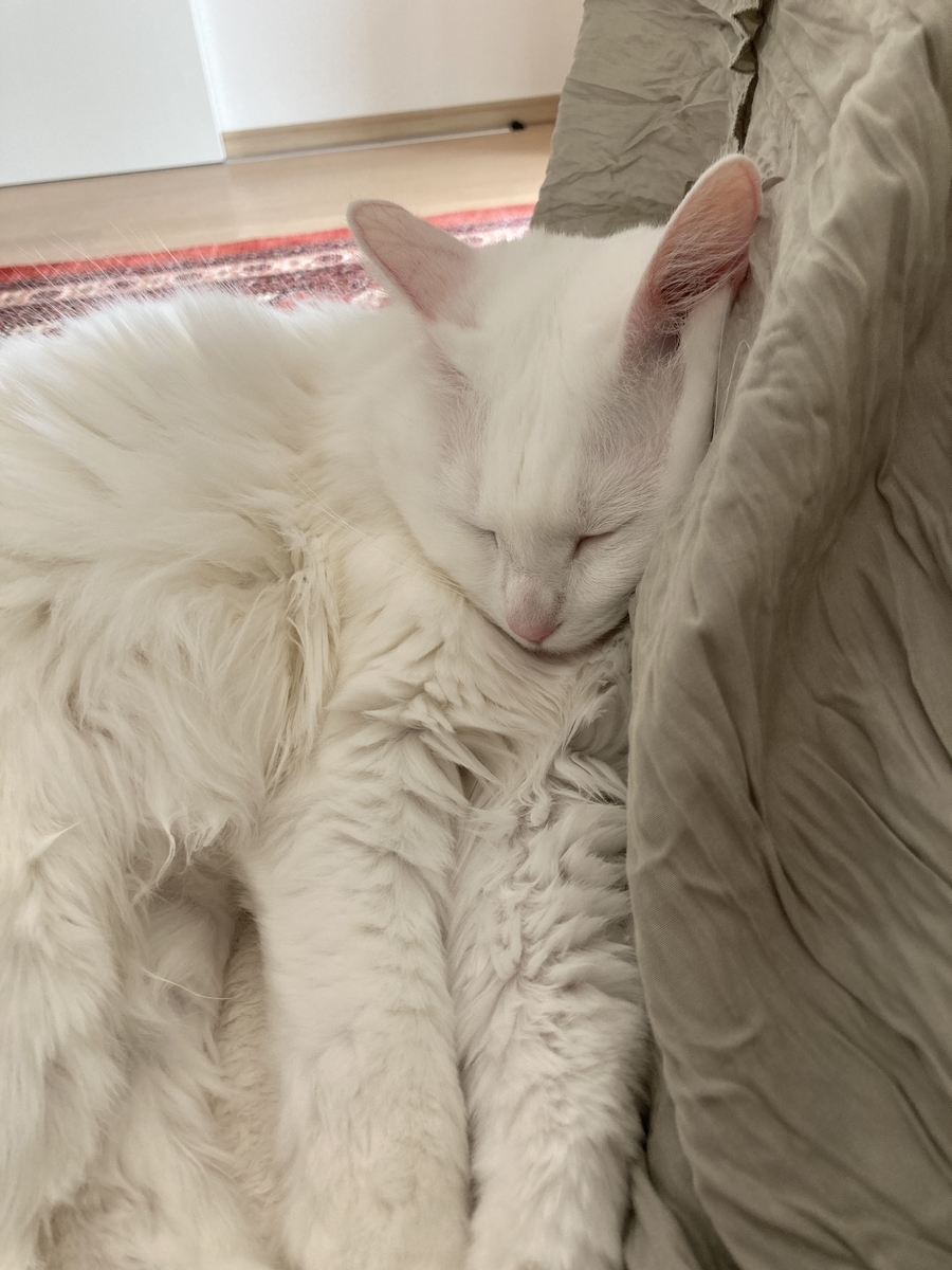 f:id:meigu:20220327232232j:plain