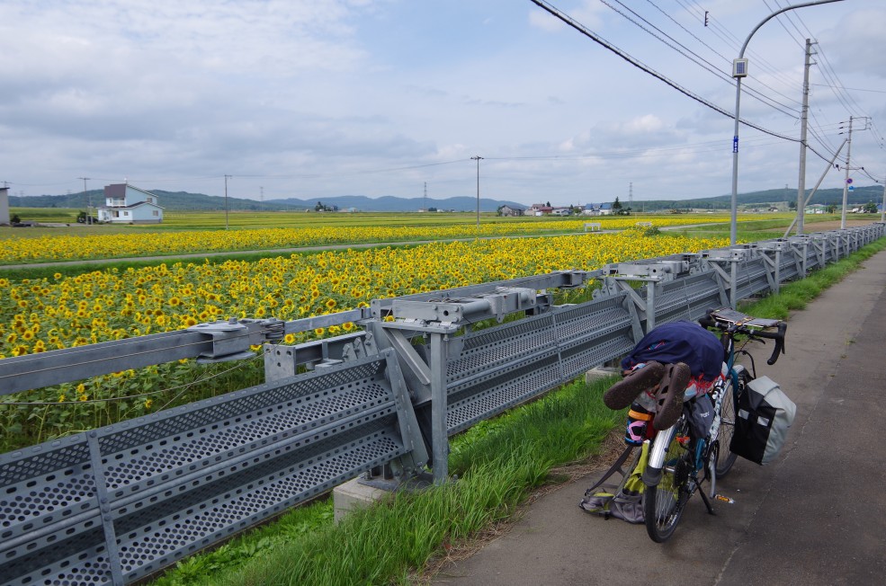 f:id:meihokkaido:20190703172453j:plain f:id:meihokkaido:20190703172453j:plain