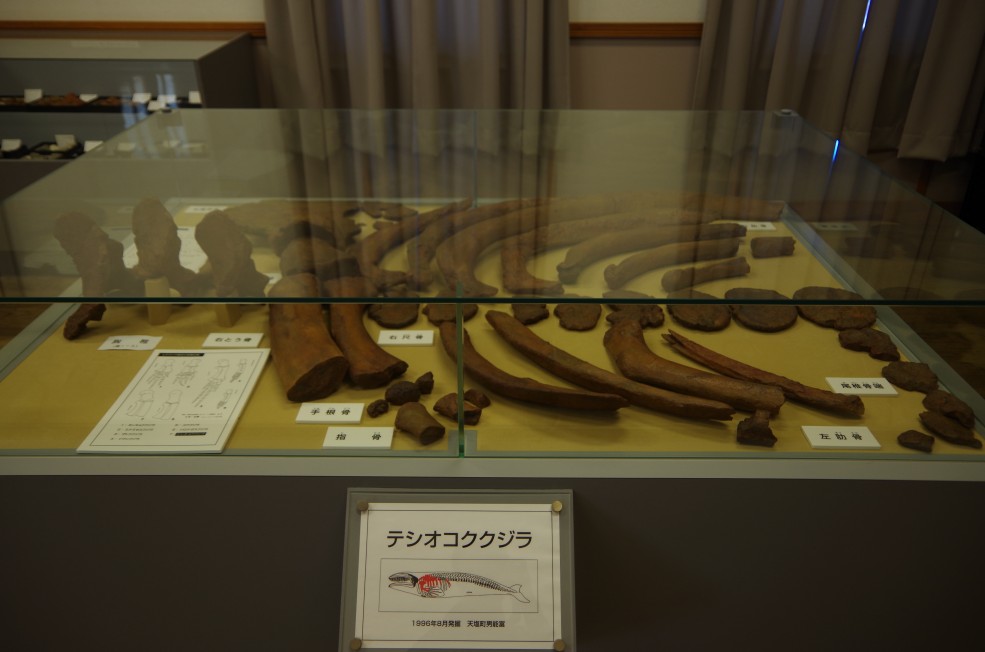 f:id:meihokkaido:20190705162747j:plain f:id:meihokkaido:20190705162747j:plain